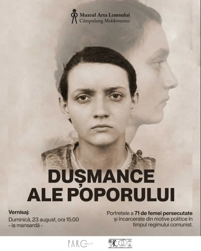 Expoziție Muzeul Arta Lemnului, Dușmance Ale Poporului